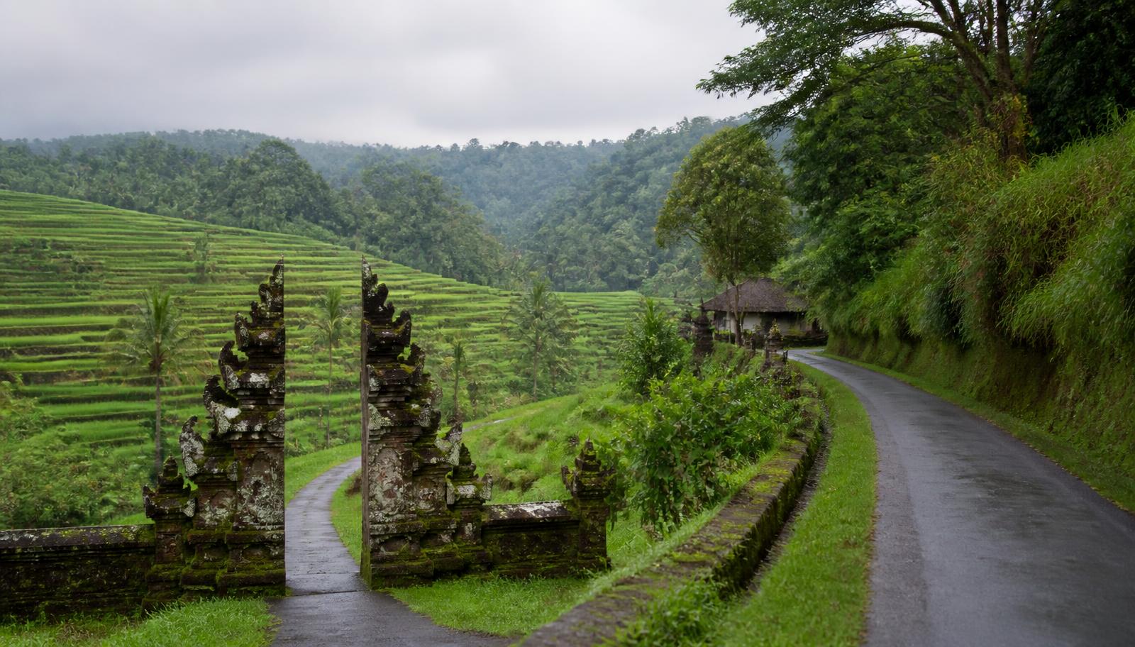 Balinese rijstterrassen met een traditionele poort langs een dorpsweg